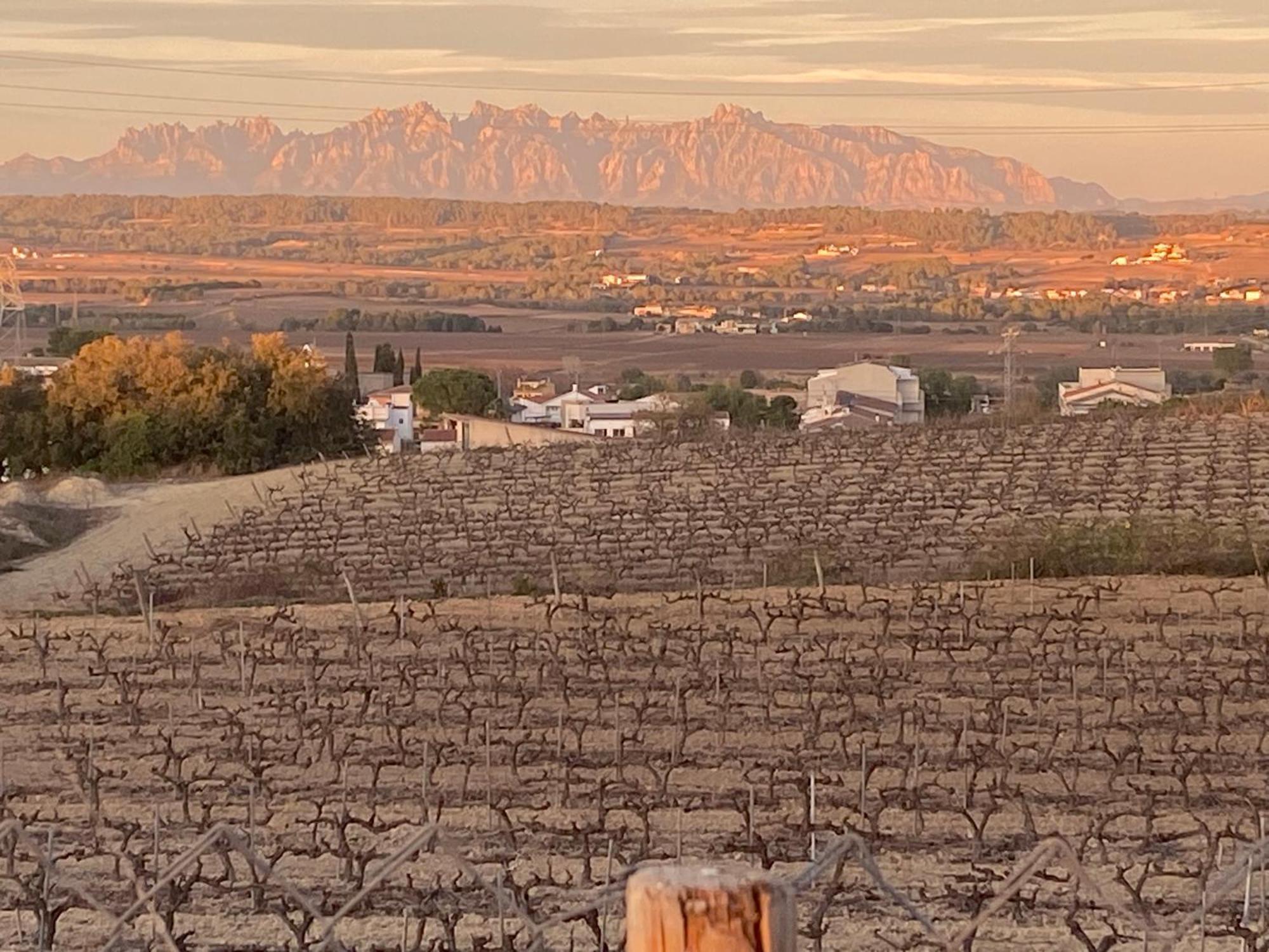 Cal Castla Villa La Granada Dış mekan fotoğraf